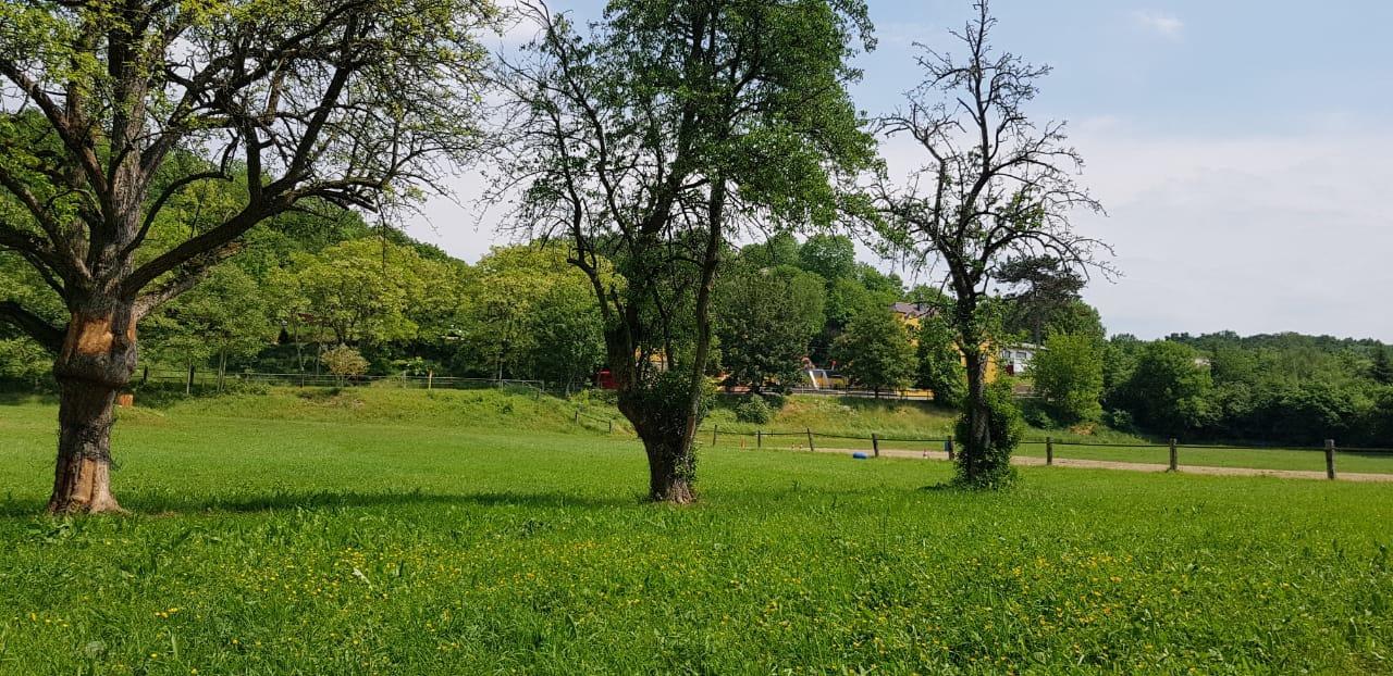 Apartment Kroppental